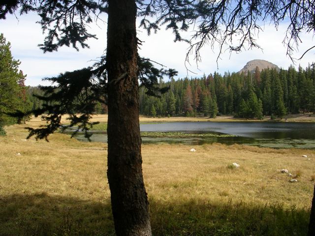 Lilly Lake